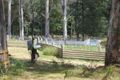 Property photo of 27321 Tasman Highway Goulds Country TAS 7216