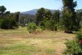 Property photo of 14 Kings Road Marysville VIC 3779