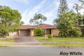 Property photo of 58 Maywood Crescent Calamvale QLD 4116