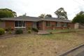 Property photo of 10 Davenport Street Banksia Park SA 5091