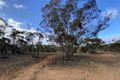 Property photo of 145 Stoneman Road Bowhill SA 5238