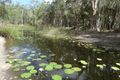 Property photo of 497 Muller Road Baffle Creek QLD 4674