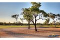 Property photo of 23 Blue Lake Court Kirwan QLD 4817