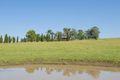 Property photo of 449 Tocal Road Mindaribba NSW 2320