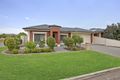 Property photo of 17 Whitbread Avenue Klemzig SA 5087