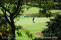 Property photo of 16B Beach Street Minnamurra NSW 2533