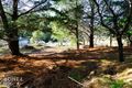 Property photo of 39 Cranes Road Dromedary TAS 7030