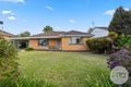 Property photo of 42 Walteela Avenue Mount Austin NSW 2650