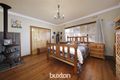 Property photo of 8 Cavalier Street Bentleigh East VIC 3165