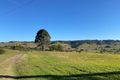 Property photo of 75 Duncan Road Numulgi NSW 2480