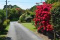 Property photo of 20A Highland Road Faulconbridge NSW 2776