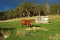 Property photo of 19 Collins Cap Road Collinsvale TAS 7012