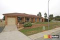 Property photo of 19 Berkeley Street Dunlop ACT 2615