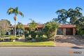 Property photo of 48 Willcox Avenue Singleton Heights NSW 2330