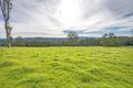 Property photo of 27 Hickory Street Dorrigo NSW 2453