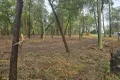 Property photo of 9 Jerberra Road Tomerong NSW 2540