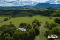Property photo of 75 Tuntable Falls Road Nimbin NSW 2480