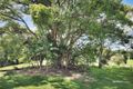 Property photo of 369 Maleny-Stanley River Road Wootha QLD 4552