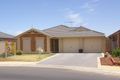 Property photo of 53 Gerald Boulevard Davoren Park SA 5113