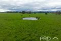 Property photo of 371 Snowy Mountains Highway Tumut NSW 2720