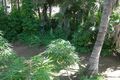 Property photo of 5 Bauhinia Street Kununurra WA 6743