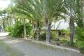Property photo of 29 Swift Drive Cooroy QLD 4563
