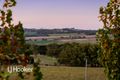 Property photo of 1 Mattner Road Mount Barker SA 5251