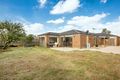 Property photo of 31 Ironbark Way Brookfield VIC 3338