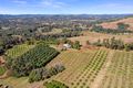 Property photo of 61 Hansen Road Dagun QLD 4570
