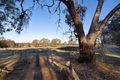 Property photo of 89 Tolhurst Road Axe Creek VIC 3551