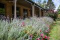 Property photo of 84 Main Road Cambewarra Village NSW 2540