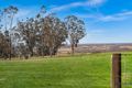 Property photo of 163 Donalds Range Road Razorback NSW 2571