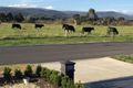 Property photo of 72 Tambo Circuit Whittlesea VIC 3757
