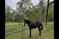 Property photo of 176 Access Road Rosevale QLD 4340