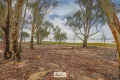Property photo of 114 Dry Lake Road Euston NSW 2737