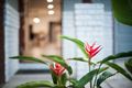 Property photo of 3 Meike Crescent Tanah Merah QLD 4128