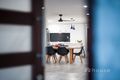 Property photo of 3 Meike Crescent Tanah Merah QLD 4128