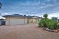 Property photo of 264 Coorong Avenue Irymple VIC 3498