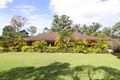 Property photo of 39 Wandin Street Nerang QLD 4211