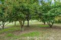 Property photo of 424 Ancona Road Ancona VIC 3715