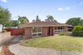Property photo of 3 Exe Court Modbury Heights SA 5092