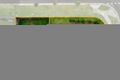 Property photo of 20 Harvester Road Ormeau QLD 4208