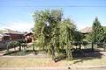 Property photo of 12 Hyman Avenue Edwardstown SA 5039
