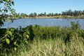 Property photo of 6 Priors Pocket Road Moggill QLD 4070