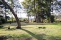 Property photo of 17-19 Lahey Lookout Road Tamborine Mountain QLD 4272
