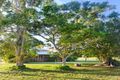 Property photo of 491 Gregory-Cannonvalley Road Strathdickie QLD 4800