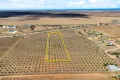 Property photo of 52A Schutt Road Dublin SA 5501