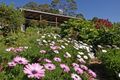 Property photo of 76 James Gibson Road Clunes NSW 2480