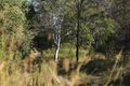 Property photo of 239 Brookhaven Boulevard Bahrs Scrub QLD 4207