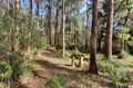 Property photo of 947 Greendale-Trentham Road Blackwood VIC 3458